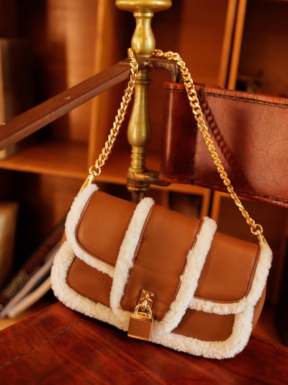 Aldo Winter Collection 2025 Faux Fur Bag